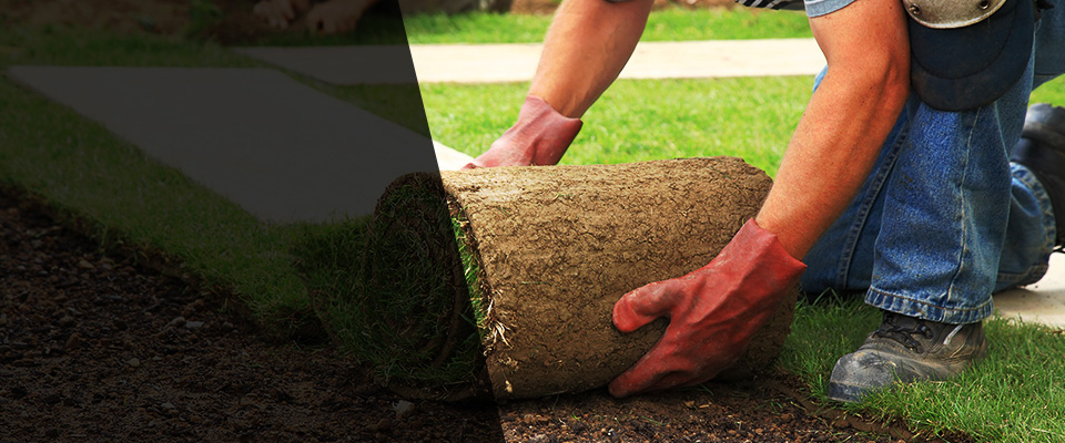 Bay Shore Landscapers